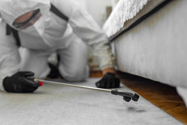 Professional Termite Control technician working in Whitney, TX